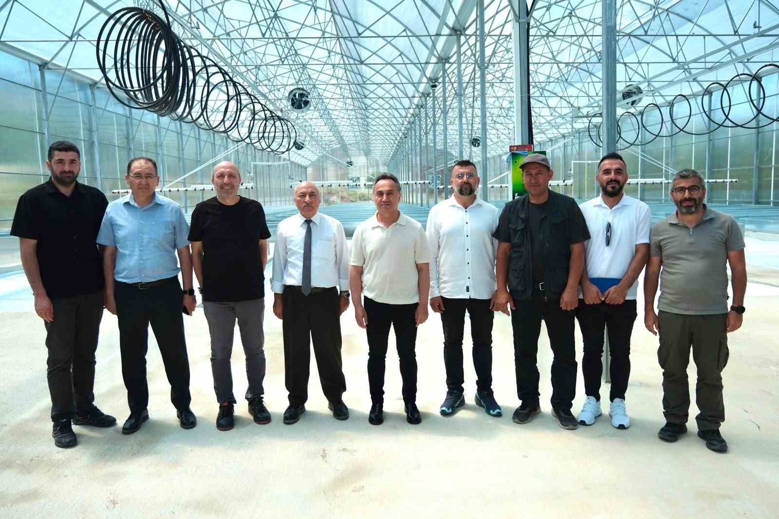 TOGÜ tohumluk patates üretimine başlıyor