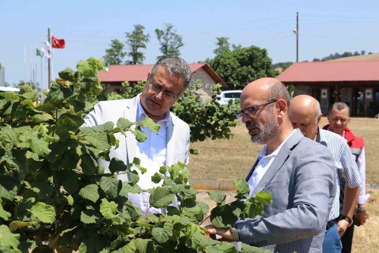 Samsun’da tarımsal üretim çalışmaları yerinde incelendi