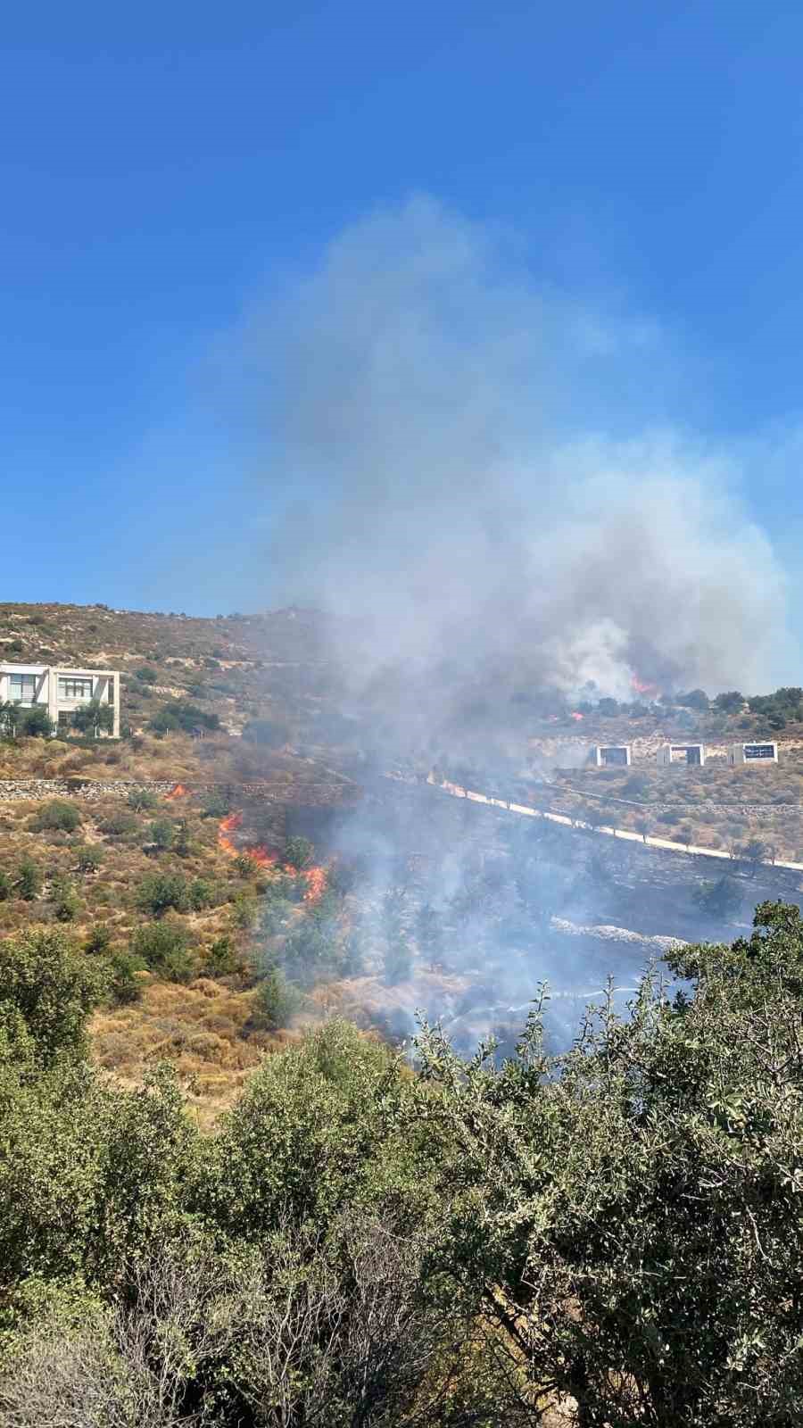 Bodrum’da makilik yangını