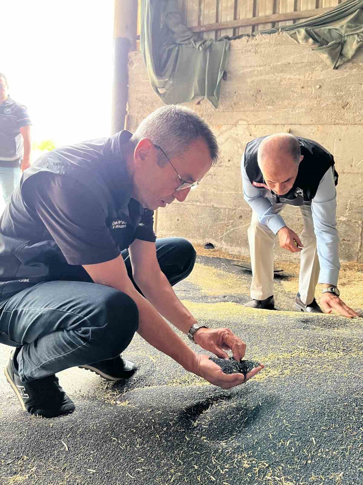 Bilecik’te kanola ve ayçiçeği alımları hız kazandı
