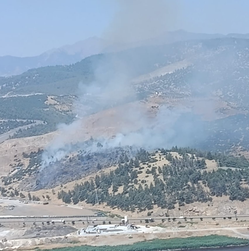 Kahramanmaraş’ta orman yangını