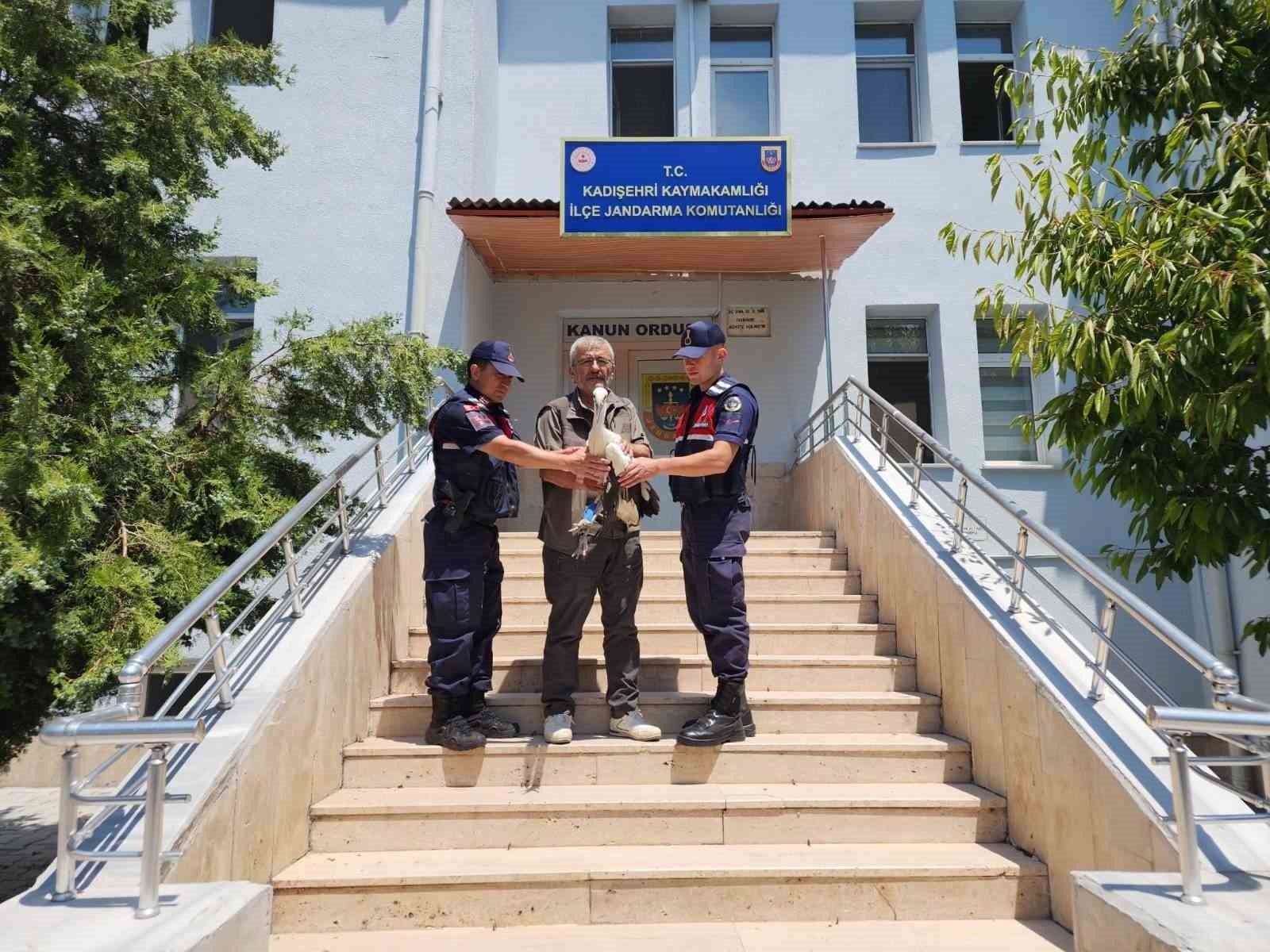 Yaralı leylek tedavi altına alındı