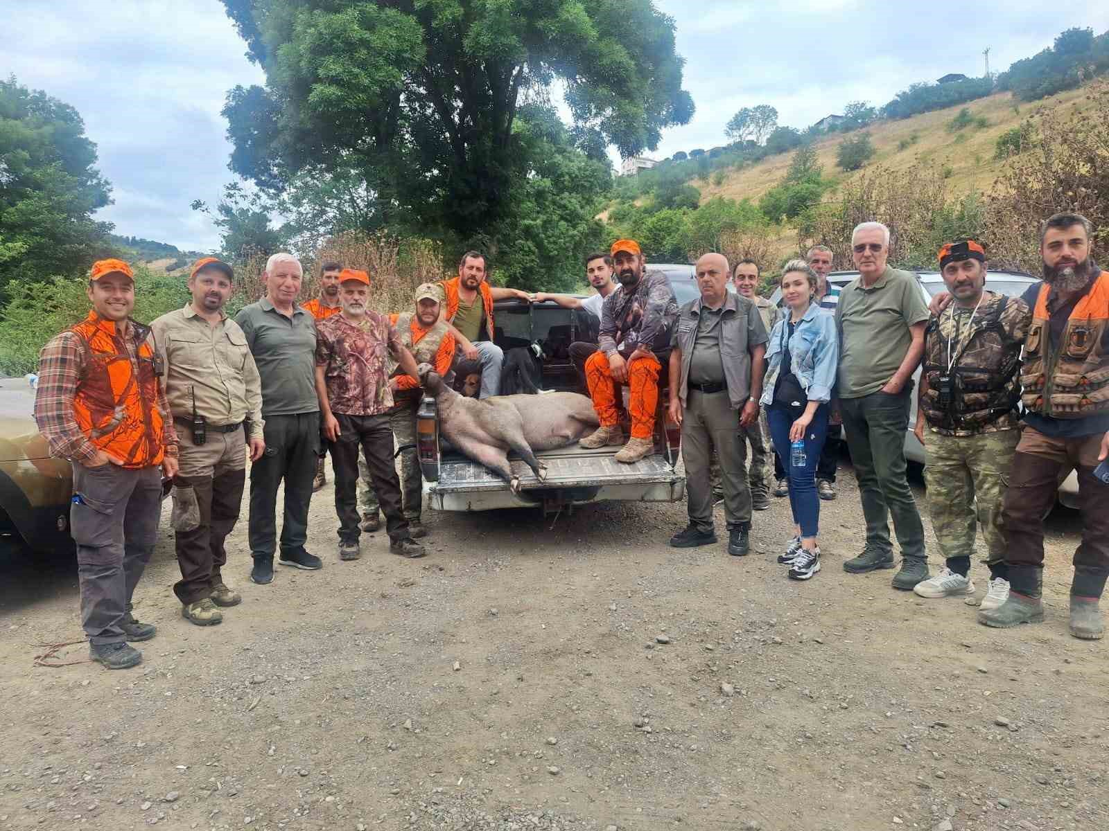 Fındık sezonu öncesi domuz alarmı: Avcılar harekete geçti