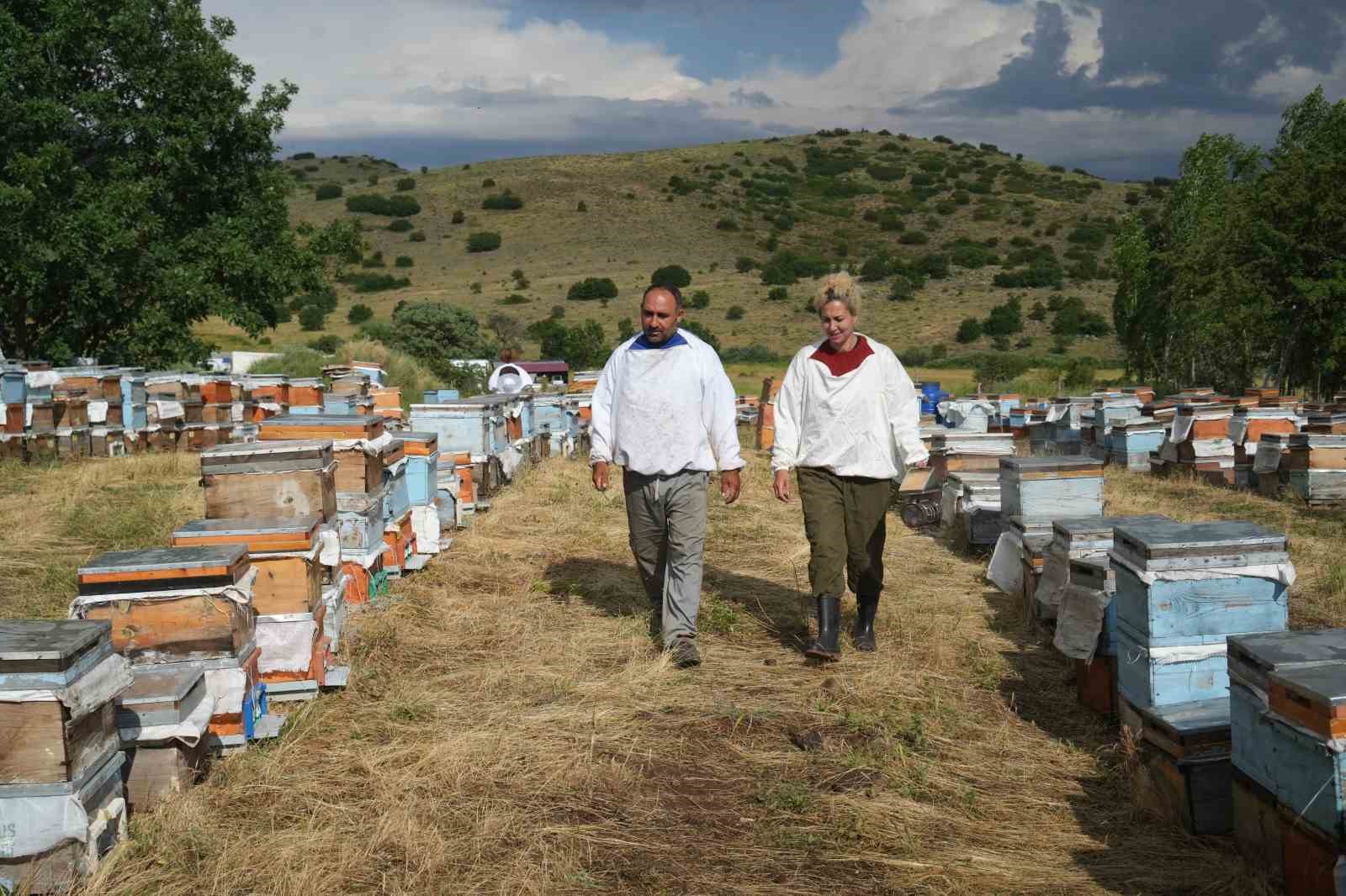 Arıların izinde bir ömür: Karavan desteği gezgin arıcı aileye nefes oldu