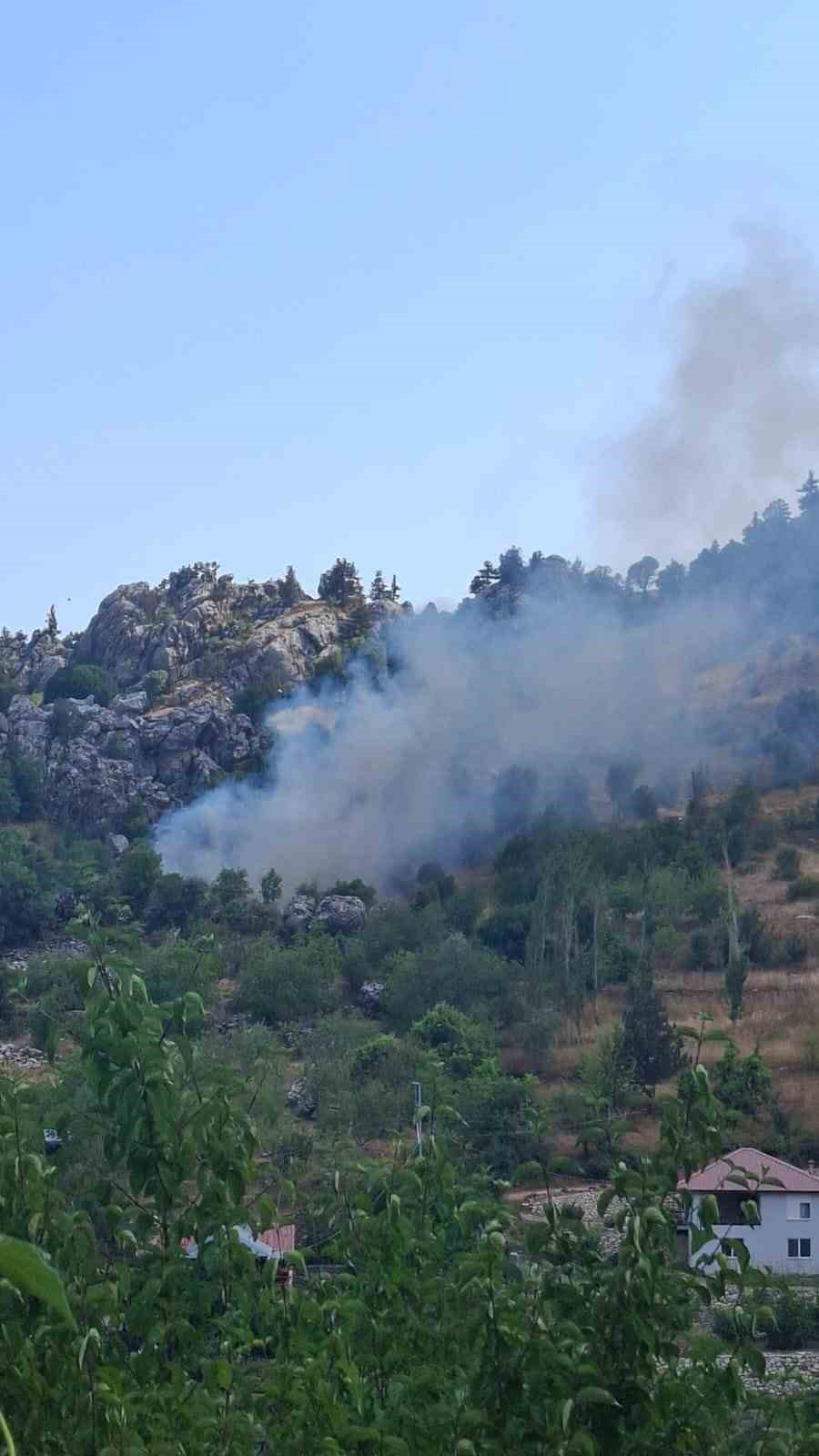 Alanya’da zirai alanda çıkan yangın söndürüldü