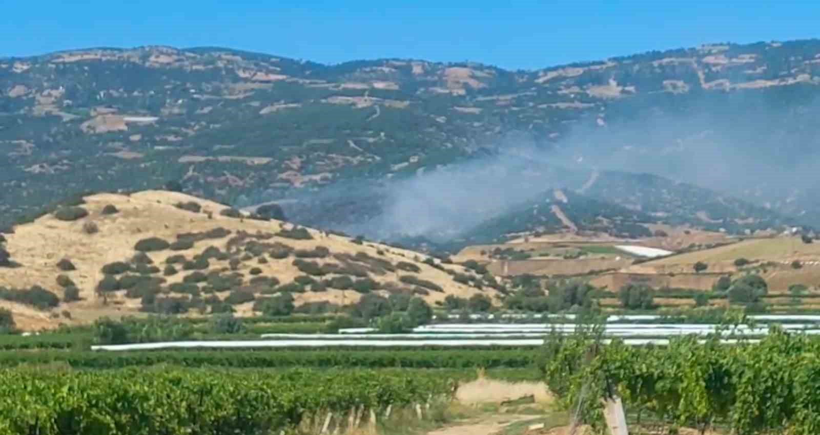 Sarıgöl’de orman yangını