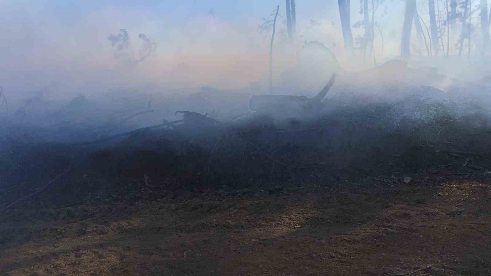 Araç yangını ormanlık alana sıçradı, ekipler alevleri büyümeden söndürdü