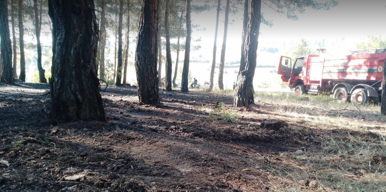 Tavşanlı’da erken müdahale ormanı kurtardı
