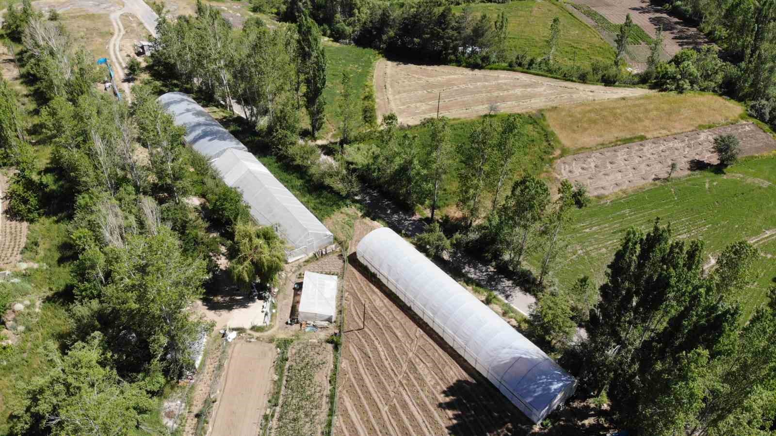 Bayburt’ta yüzde 70 hibeli sera projesi için başvurular yarın başlıyor