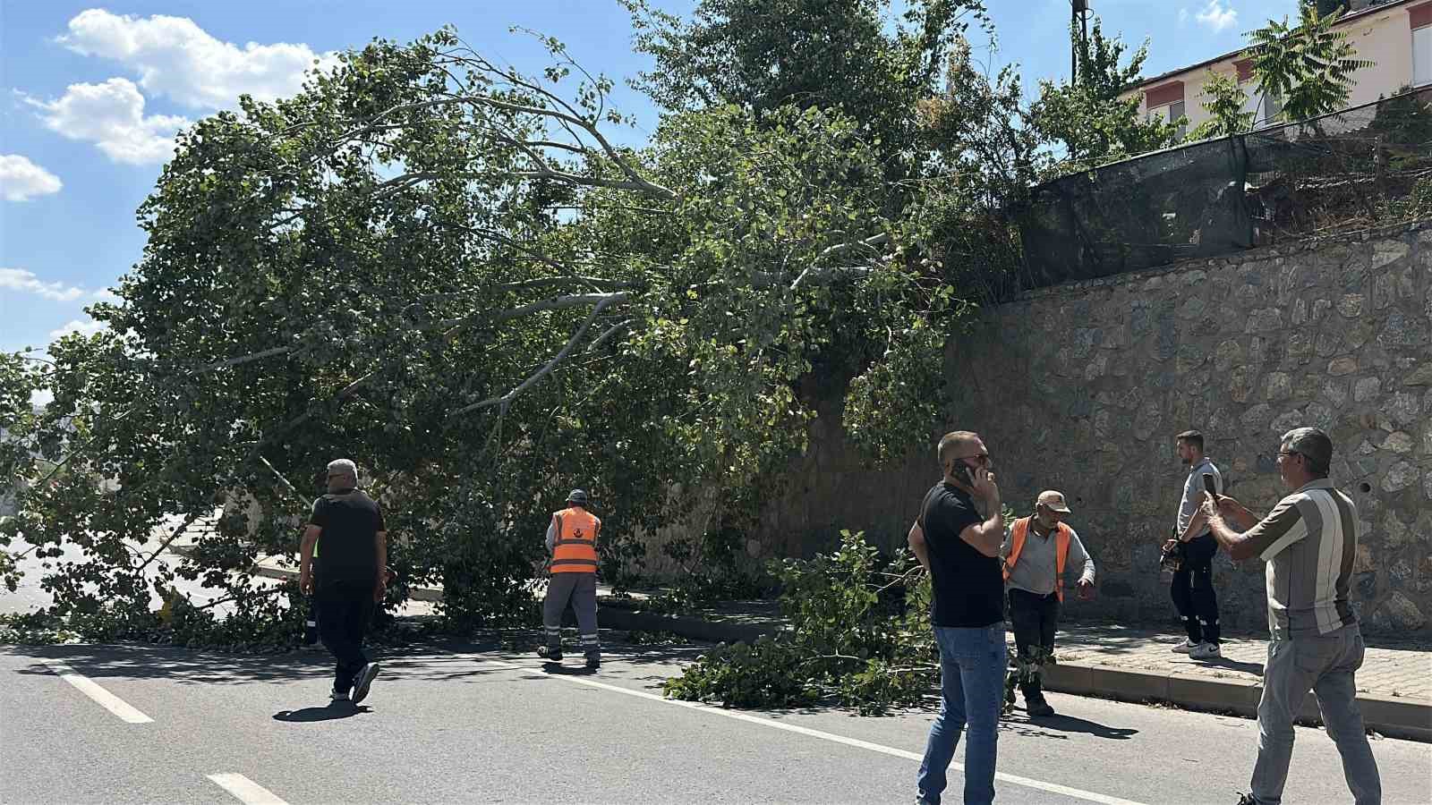 Eskişehir’de devrilen ağaç kara yolunu kısmen trafiğe kapattı