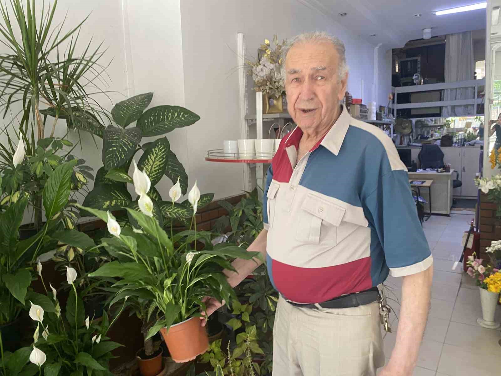 Direkt güneş ışığı çiçekler için zararlı