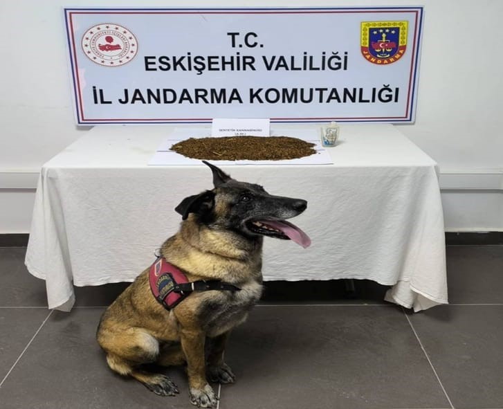 Jandarma ekiplerinden uyuşturucu operasyonu, 361 gram bonzai ele geçirildi