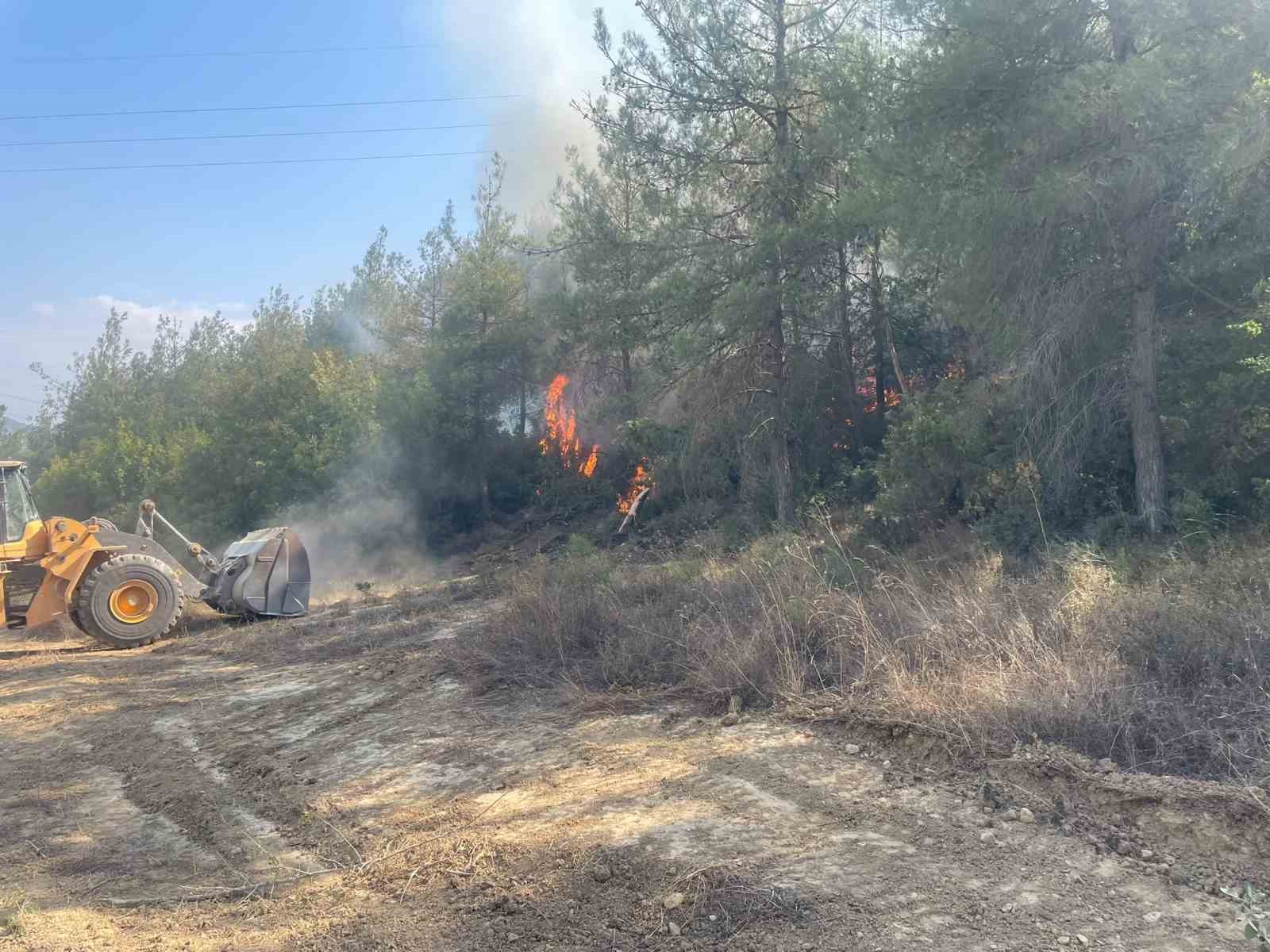 Bilecik’te orman yangını kısmen kontrol altına alındı