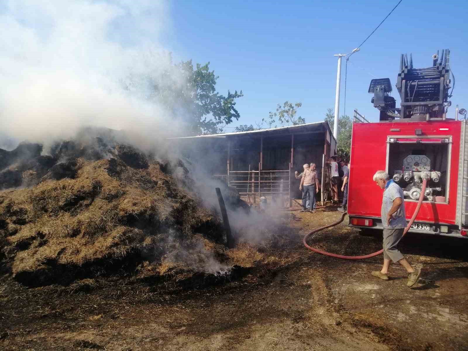 Keşan’da 1,5 saat içerisinde çıkan 5 yangın söndürüldü
