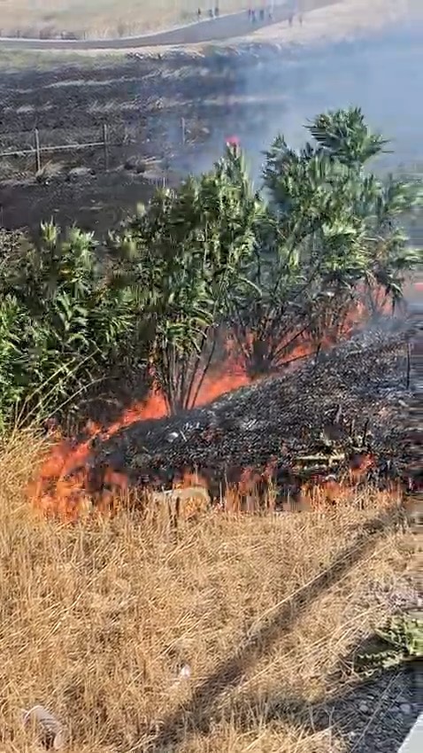 Otoban kenarında çıkan yangın söndürüldü