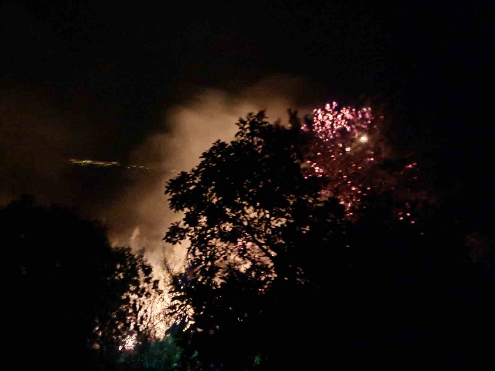 Alanya’da gece saatlerinde çıkan orman yangını kontrol altına alındı