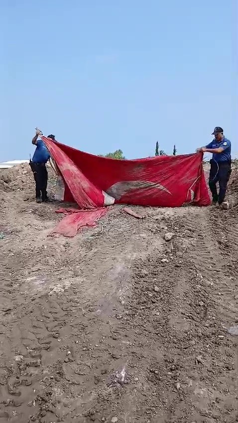 Moloz yığınları arasındaki Türk bayrağını öpüp, başına koyan polis takdir topladı