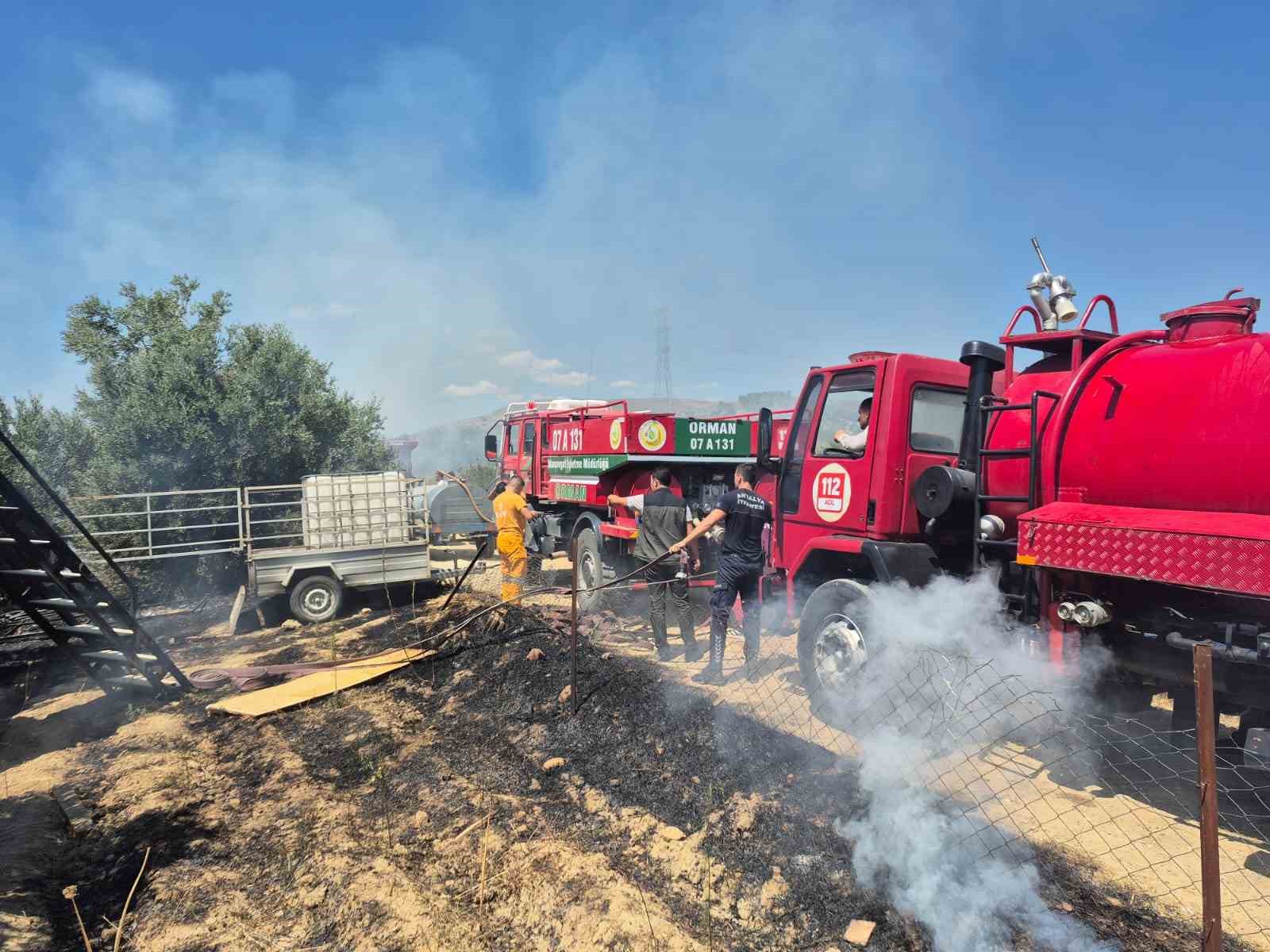 Antik kente yakın zeytinlik alanda yangında 1,25 dönüm zarar gördü