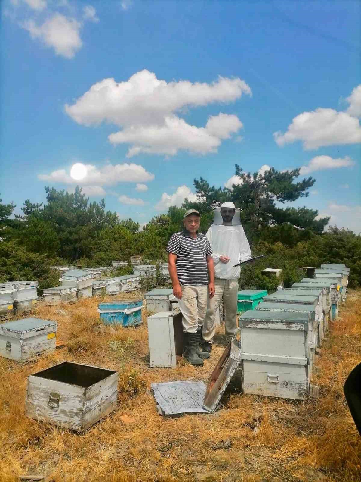 İscehisar’da arılı kovanların tespiti için saha çalışması