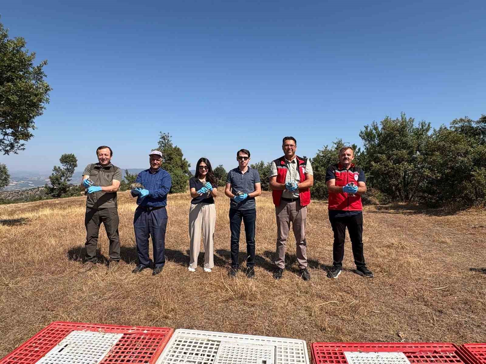 Manisa Gördes’te ekolojik denge için doğaya 500 keklik bırakıldı