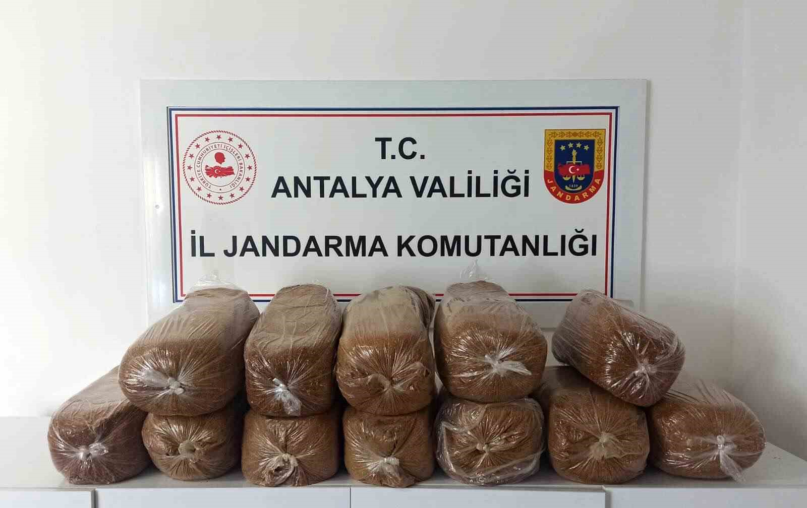 Antalya’da üç ilçede kaçak tütün operasyonu: 785 kilogram tütün ele geçirildi
