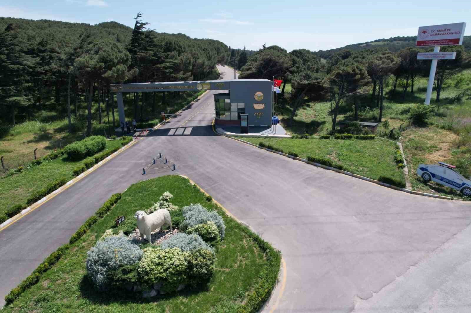 Bandırma Koyunculuk Araştırma Enstitüsü’nün TÜBİTAK projesine destek