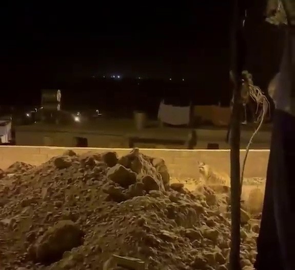 Adıyaman’da çizgili sırtlan evlerin bahçesinde görüntülendi