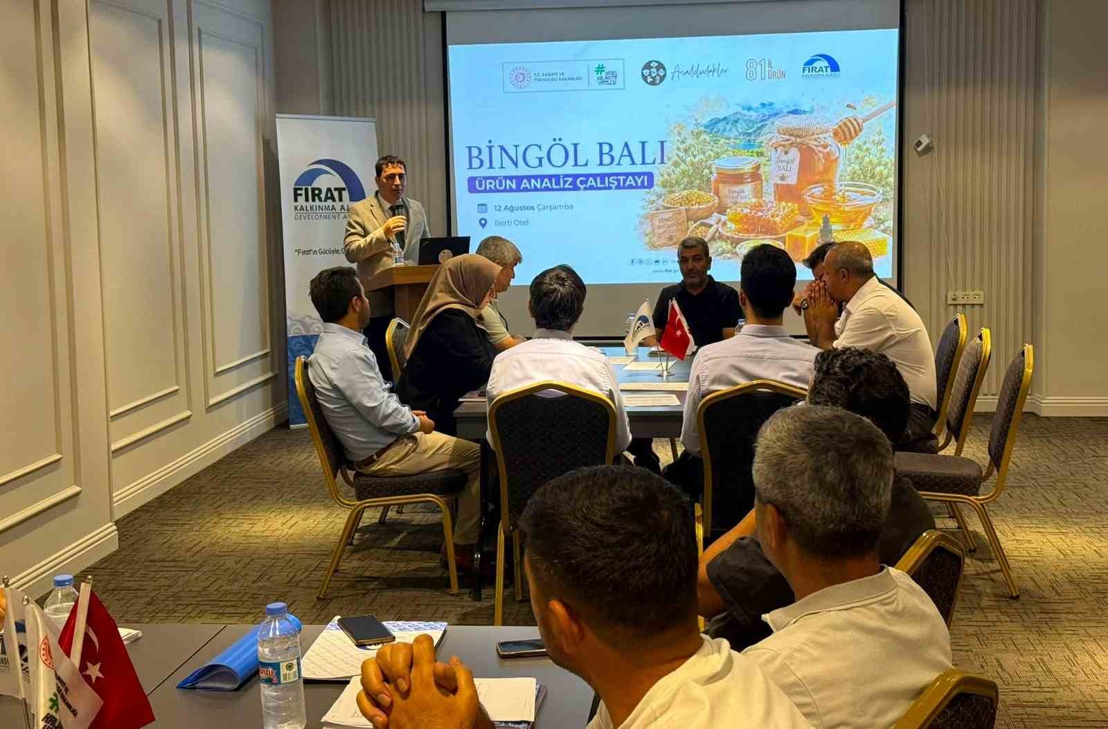 Bingöl Balı’nın katma değerli ürünlere dönüştürülmesi için yol haritası belirleniyor