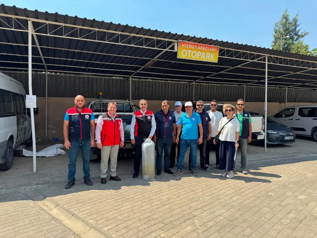 Aydın’da 535 bin sazan suyla buluştu