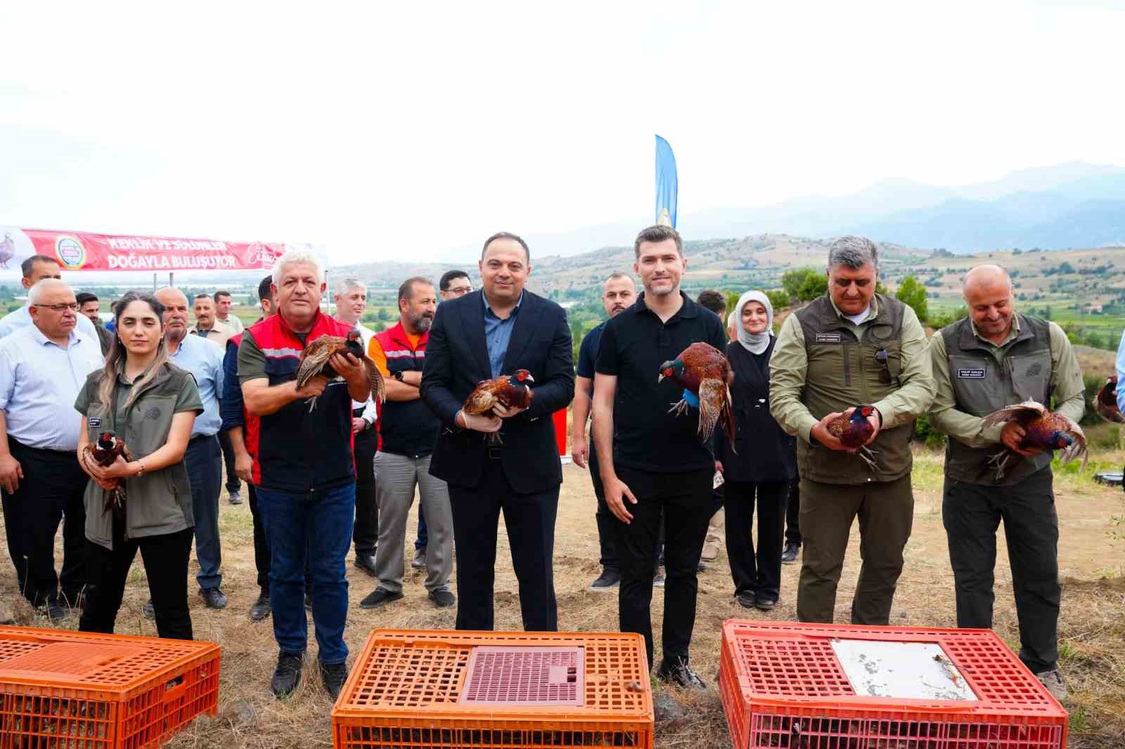 Erbaa Belediyesi’nden keneyle mücadeleye halkalı sülün ve kekliklerle destek