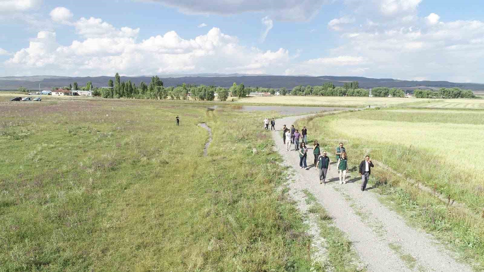 Kars ve Ardahan’da 52 bin hektarlık alanda arazi toplulaştırma incelemesi