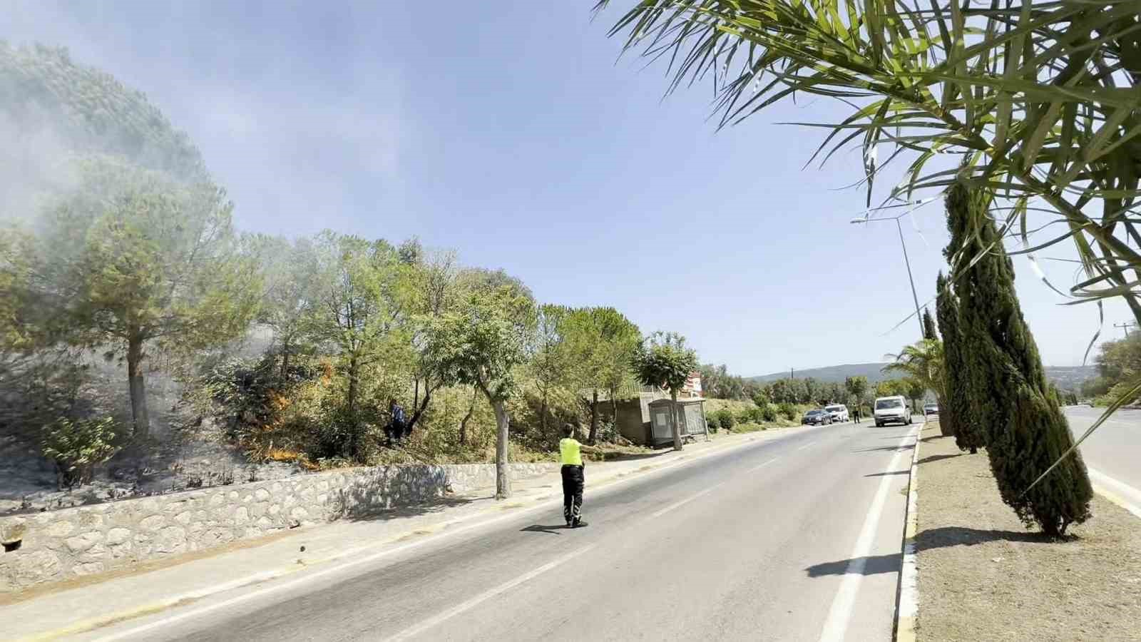 Yol kenarında başlayan yangın ormana sıçradı, ekiplerin müdahalesiyle söndürüldü