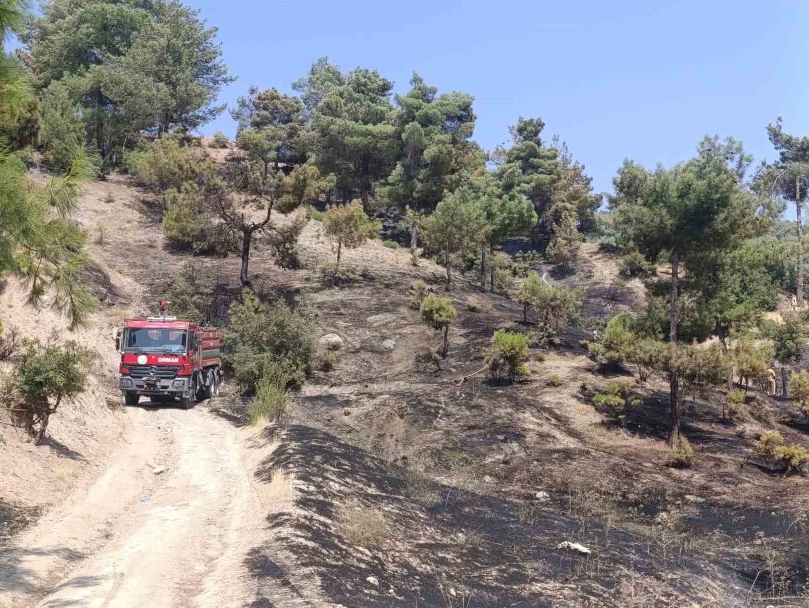 Kahramanmaraş’ta orman yangını kontrol altına alındı