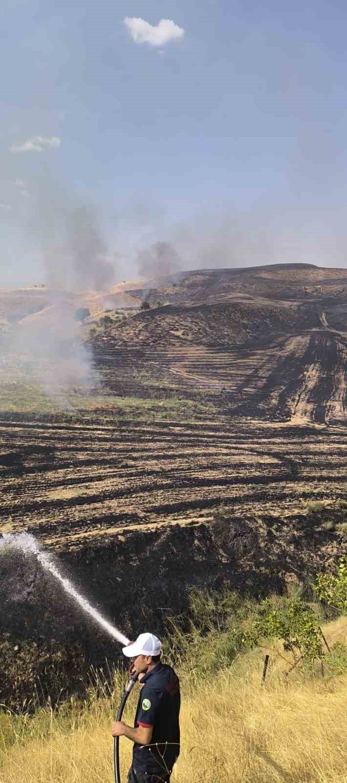 Siirt’te anız yangını meyve bahçesine sıçradı, 100 ağaç zarar gördü