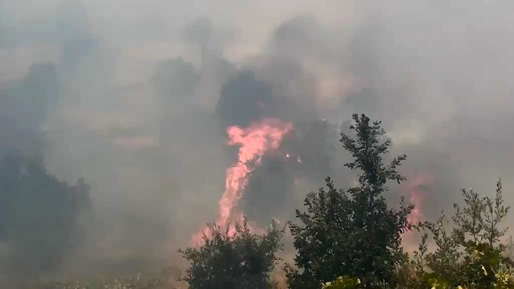 Diyarbakır’da örtü ve orman yangınında geniş alan zarar gördü