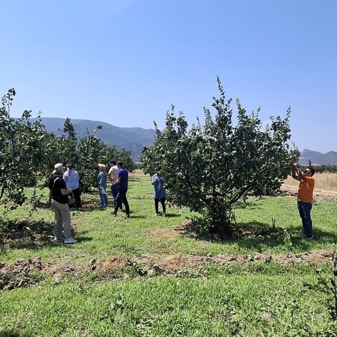 Bilecik’te bitki hastalıkları ve zararlılara karşı saha kontrolü