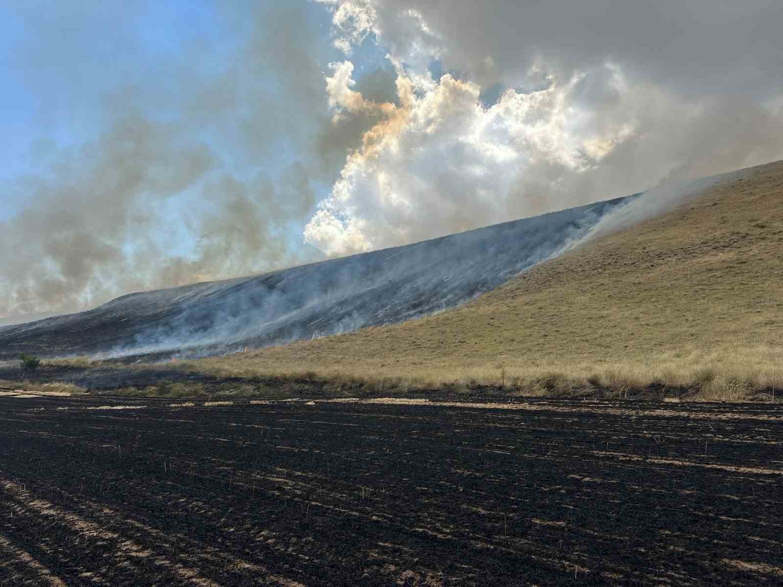 Bitlis’te örtü yangını: 400 dönüm alan küle döndü
