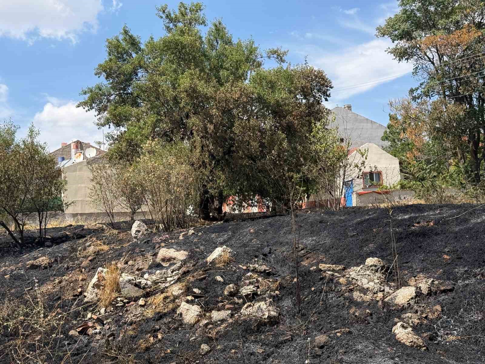 Çocukların torpille oyunu yangına sebep oldu