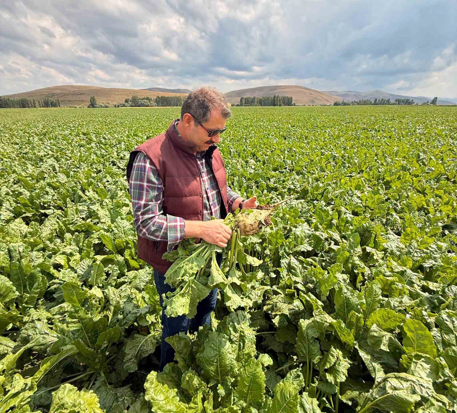 Milli Savunma Bakan Yardımcısı Ayhan’dan memleket paylaşımı