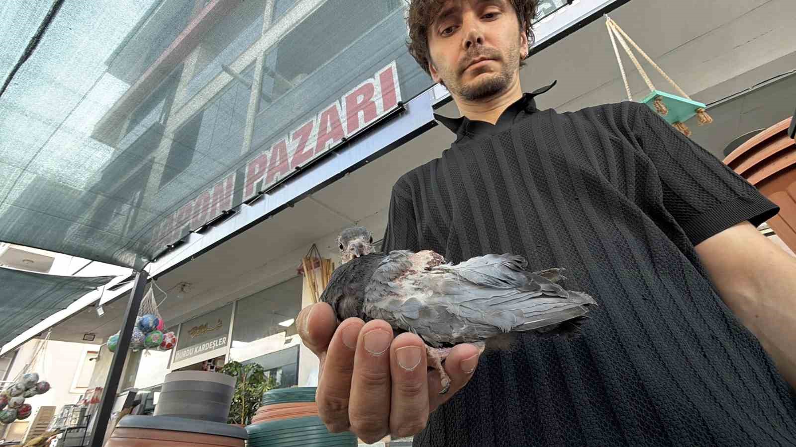 Yaralı kuşa esnaf şefkati