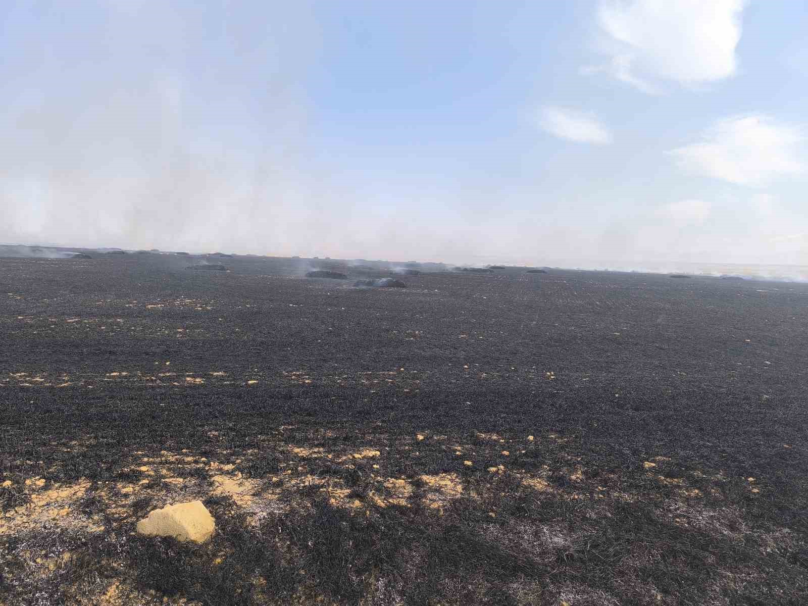 Eskişehir’de elektrik tellerine çarpan kuşun sebep olduğu yangın söndürüldü