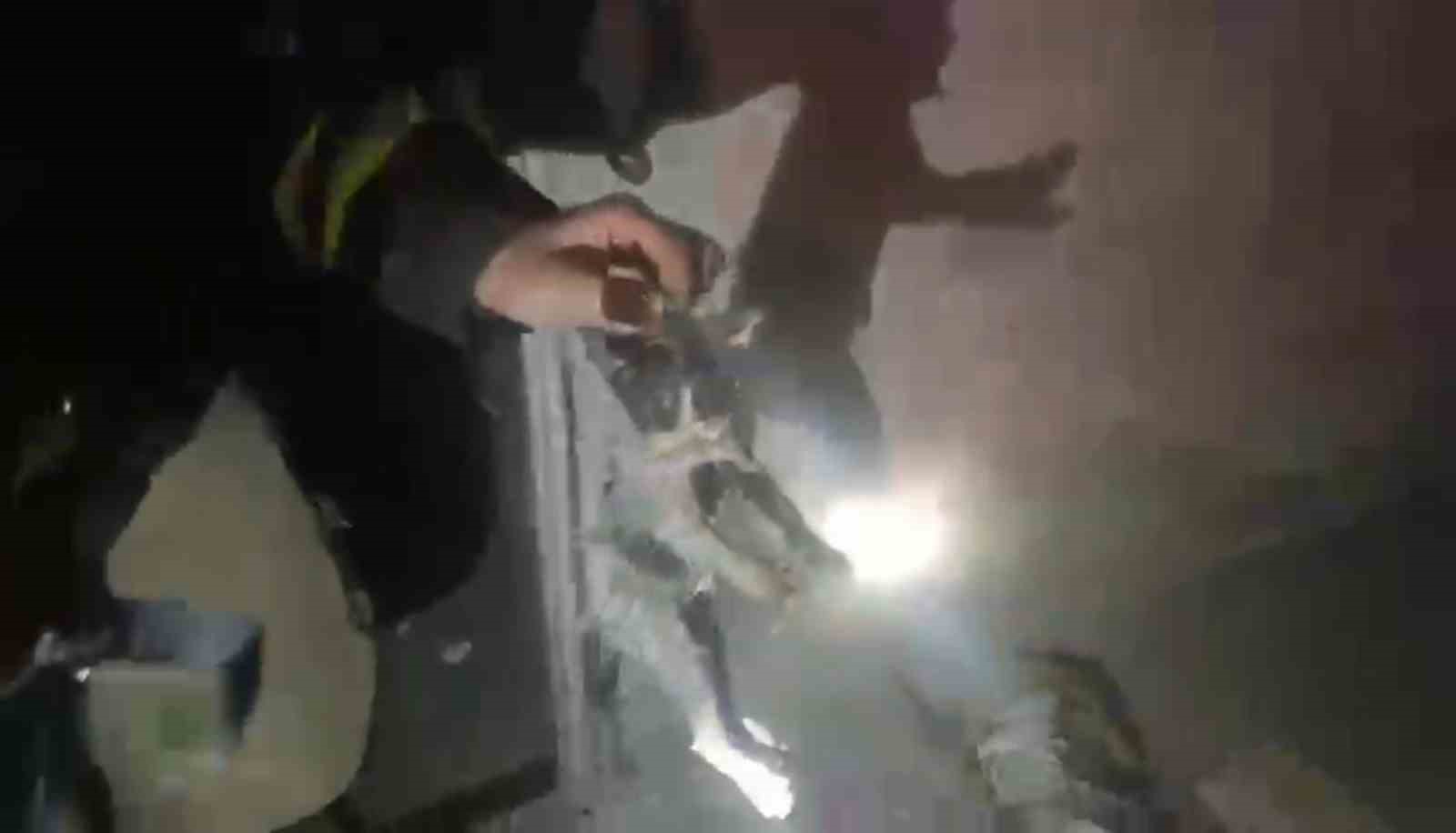 Yangında mahsur kalan kediler ekipler tarafından kurtarıldı
