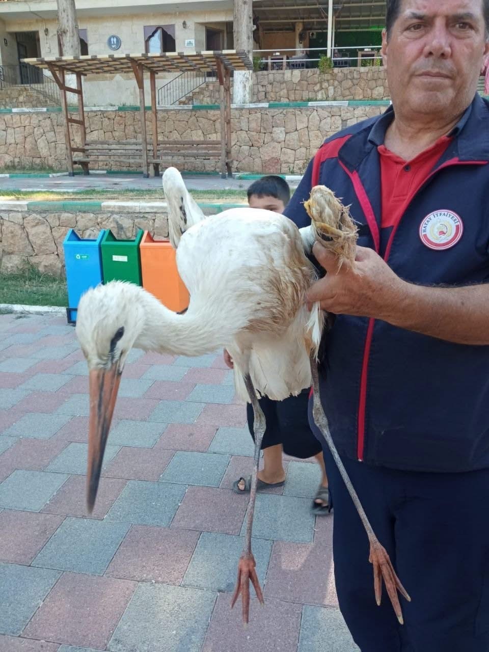 Reyhanlı’da yaralı leylek ekipler tarafından kurtarıldı