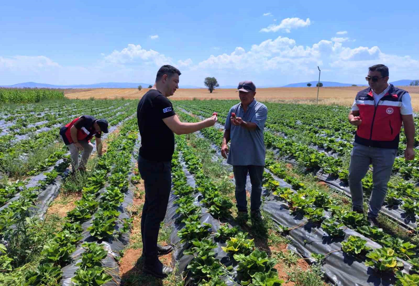 Aslanapa’da çilek ve biber üreticisine ziyaret