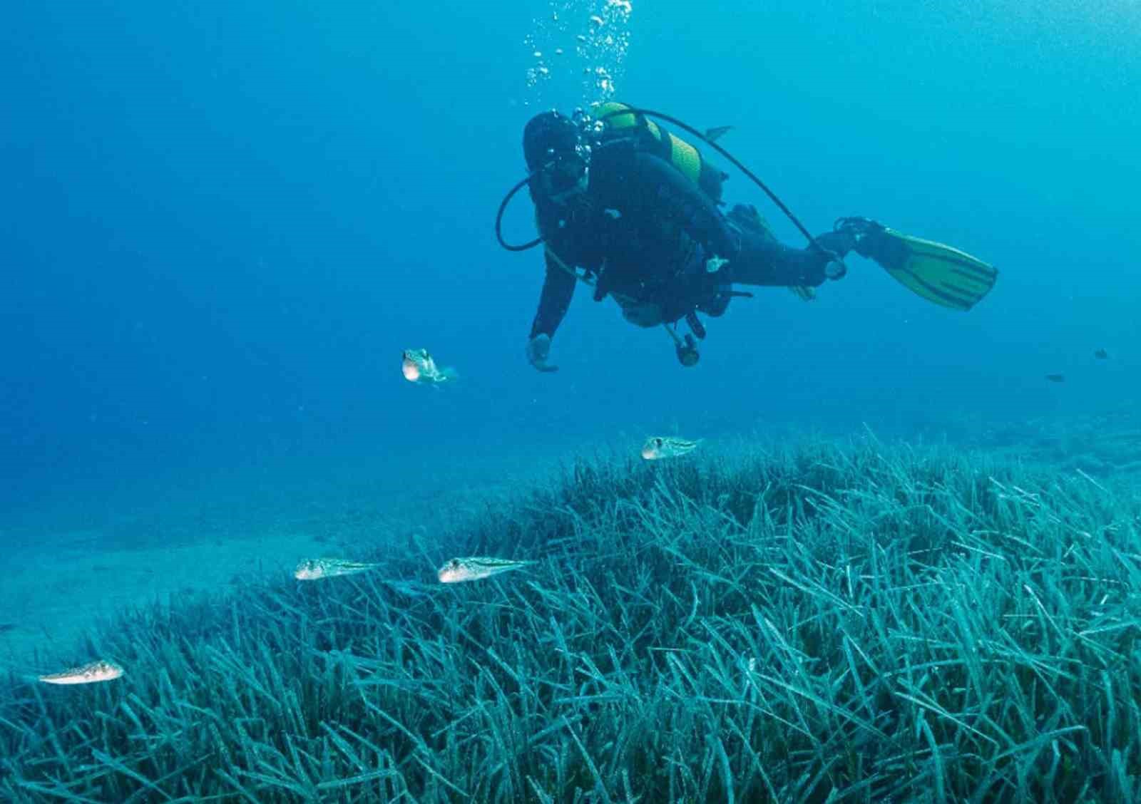 Türkiye’nin ilk Deniz Milli Parkı Fethiye-Kaş ve Kuzey Ege sınırlarında