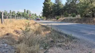 Mahalle muhtarından yol kenarlarındaki kurumuş otlar için ’yangın’ uyarısı