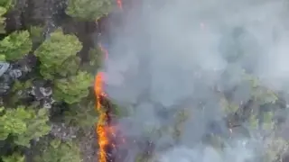 Antalya’da orman yangını