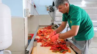 Kahramanmaraş’ta biber salçası mesaisi başladı
