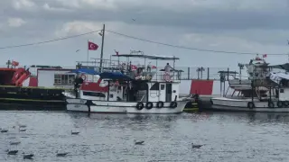 Palamut tezgaha erken gelecek