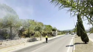 Yol kenarında başlayan yangın ormana sıçradı, ekiplerin müdahalesiyle söndürüldü